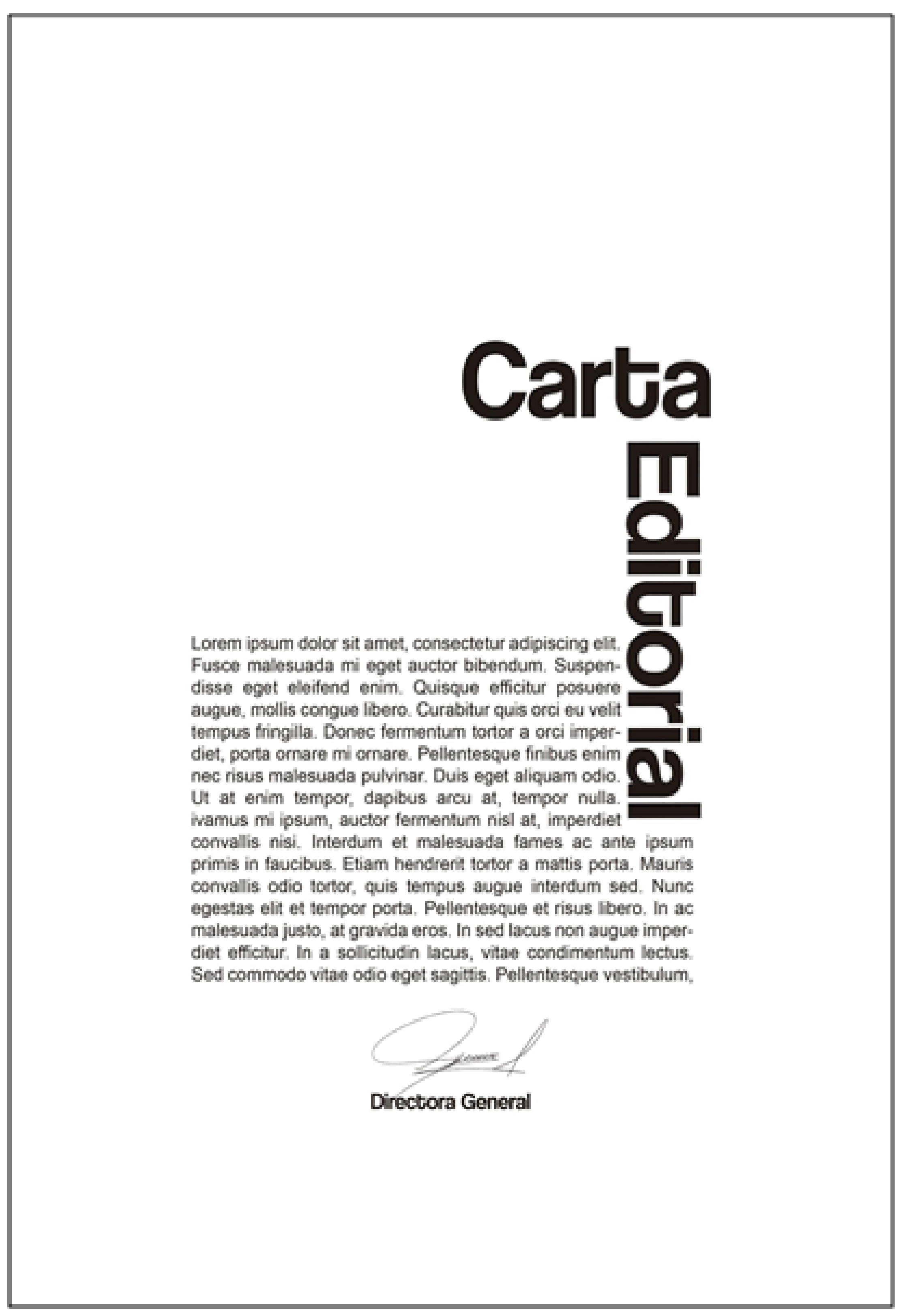 Diseño de carta editorial seleccionado para la revista Áurea:diseño+arte, retícula basada en la geometrización de una avestruz.